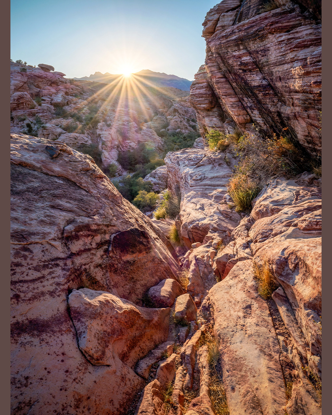 The summer’s sun setting behind one of the many sandstone peaks inside of Red Rock Canyon, Nevada.⁠
⁠
Red Rock Canyon covers almost 200,000 acres of desert landscape, with its geological history stretching back more than 300 million years. At its origin, this region was once part of an ancient ocean basin, with sand, mud, and marine sediments accumulated and eventually compacted into limestone, sandstone and shale layers. Afterwards, roughly 180 million years ago, sand was wind-carried and deposited here, originating from eroding highlands to the north and east. This sand contained small amounts of iron-bearing minerals, eventually oxidize with groundwater, leading to the red colors Red Rock Canyon is known for. Then, about 65 million years ago, tectonic forces caused the older (and gray) limestone layers to thrust up and over the younger red sandstones, forming the mixed-color dramatic cliffs and ridges visible today.⁠
⁠
I captured this photograph in the Calico Hills section of Red Rock, an area known for the stark contrast between older gray rock and younger red Aztec sandstone. The dramatic hills here showcase the mingling of these distinct layers. I took this photo just one week ago, at the end of a toasty, but lovely day, as the final rays of light bounced off the sandstone walls which line this canyon.⁠
⁠
On a separate note, this happens to be my 500th post on Instagram, and I am happy to share this specific photo for such a milestone. I have been to Red Rock Canyon on four separate occasions now, with this one being the most special. To those who enjoy my posts, thank you for being a valued follower. And an extra thank you to those who take the time to read this far, your support is extra appreciated!