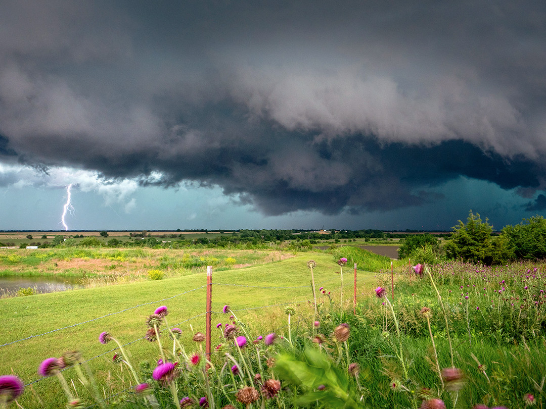 Lightning strikes down from a supercell passing in the distance, behind some open fields in southern Kansas.⁠
⁠
This photograph was taken while storm chasing in southern Kansas, back on June 17th, 2025. While this storm did not produce any tornadoes on that day, it certainly wasn’t lacking in lightning. I took this photo from a bit of a distance, which is why the foreground remains sunlit, while the background is shrouded in storm darkness.⁠
⁠
This moment happened during a brief stop, at a gas station, of all places, in South Haven, Kansas. Behind the parking lot was a small patch of blooming thistles overlooking a dramatic landscape of shifting light and shadow. The flowers and grasses swayed in the storm’s inflow winds, adding a dynamic sense of the storm’s power and its pull on the atmosphere and land.