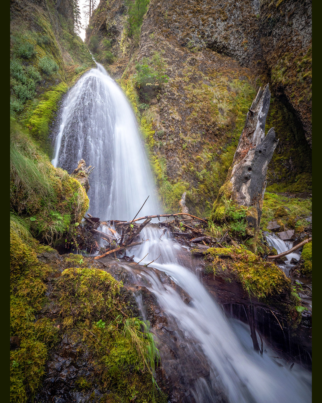 The lower tier of Wahkeena Falls, nestled in a narrow canyon of basalt walls, covered in a thick layer of vibrant, waterfall-fed moss.⁠
⁠
Wahkeena Falls is located within the Columbia River Gorge and is a three-tiered waterfall, falling an impressive 242 feet (74 m) in total. This photograph shows only the lower tier, which drops roughly 30 feet (9 m). The Columbia River Gorge acts as a natural corridor for moisture, with cool, damp air funneled through it, contributing to the lushness of the flora found along its walls. Additionally, the area immediately surrounding the falls functions like a mini rainforest, constantly being pummeled with mist. The combination of these factors leads to a thick layer of moss, liverworts, and lichens thriving on the canyon walls beside the falls.⁠
⁠
On this morning, I photographed a total of five waterfalls within the gorge, with this one proving to be the most difficult due to the constant barrage of mist. I had to blow water off my lens before nearly every shot, and even then, the majority of the images ended up with droplets still clinging to the glass. Fortunately, I was able to capture a select few frames completely free of water spots.