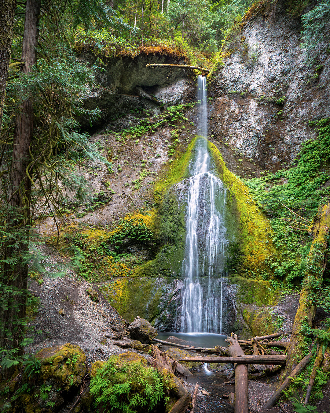 The delicate flow of Marymere Falls cascades over moss-covered cliffs within the temperate rainforest of Olympic National Park, Washington.⁠
⁠
Marymere Falls drops around 90 feet (27.5 m), and its water has carved a steep and recessed channel in the rock over time. It is fed by snowmelt and rainfall from the Olympic Mountains, which is why the flow is strongest in late spring. I took this photograph in late August, resulting in the more delicate flow experienced this morning.⁠
⁠
The temperate rainforest zone of Olympic National Park is fed by moisture-laden air from the Pacific, which is forced upward by the Olympic Mountains. The mountain-influenced precipitation which occurs from this leads to heavy rainfall and year-round high humidity. Those types of conditions allow the mosses and ferns seen on the rock surface to thrive, which are also aided by the mist and splash created by the waterfall itself.
