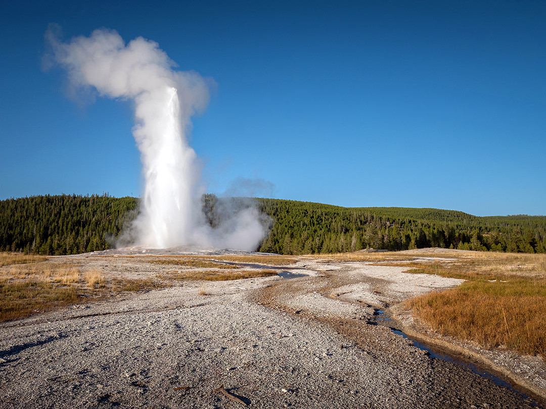 Old Faithful erupts high above the geothermal landscape of Yellowstone National Park, Wyoming.⁠
⁠
What is considered the most famous geyser in the world, Old Faithful is in part popular due to its frequent and consistent eruptions, as well as its easy accessibility within Yellowstone National Park. It erupts every 60 to 110 minutes, can exceed 180 feet (55 m) in height, and lasts anywhere from 1.5 to 5 minutes. Its regularity is what led to it being named Old Faithful during the Washburn Expedition of 1870.⁠
⁠
After erupting, the hot water flows away through runoff channels, as seen in the foreground of this photograph. The water is highly alkaline, extremely hot, and deposits thick layers of silica as it flows, creating a hard, non-porous surface that suffocates roots and prevents plant growth. This leads to the bare patches surrounding the base of this geyser, as well as many others throughout Yellowstone’s geothermal basins.