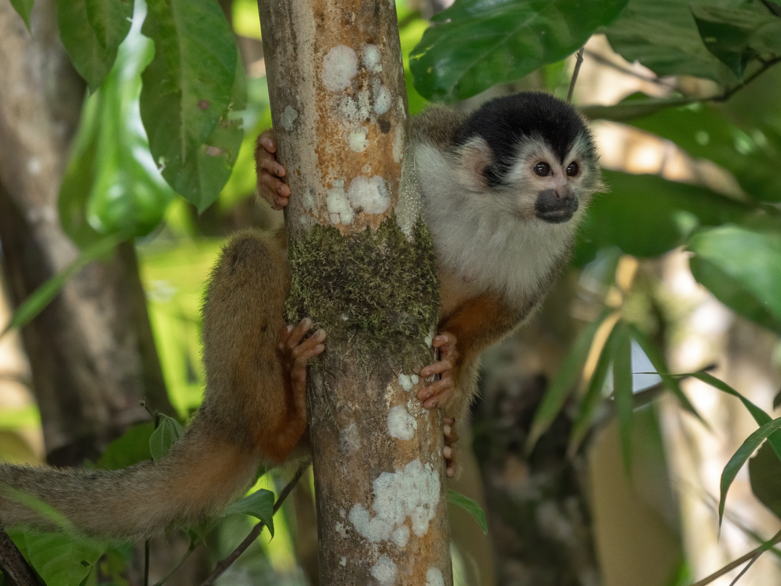 2021-03 - Costa Rica 021