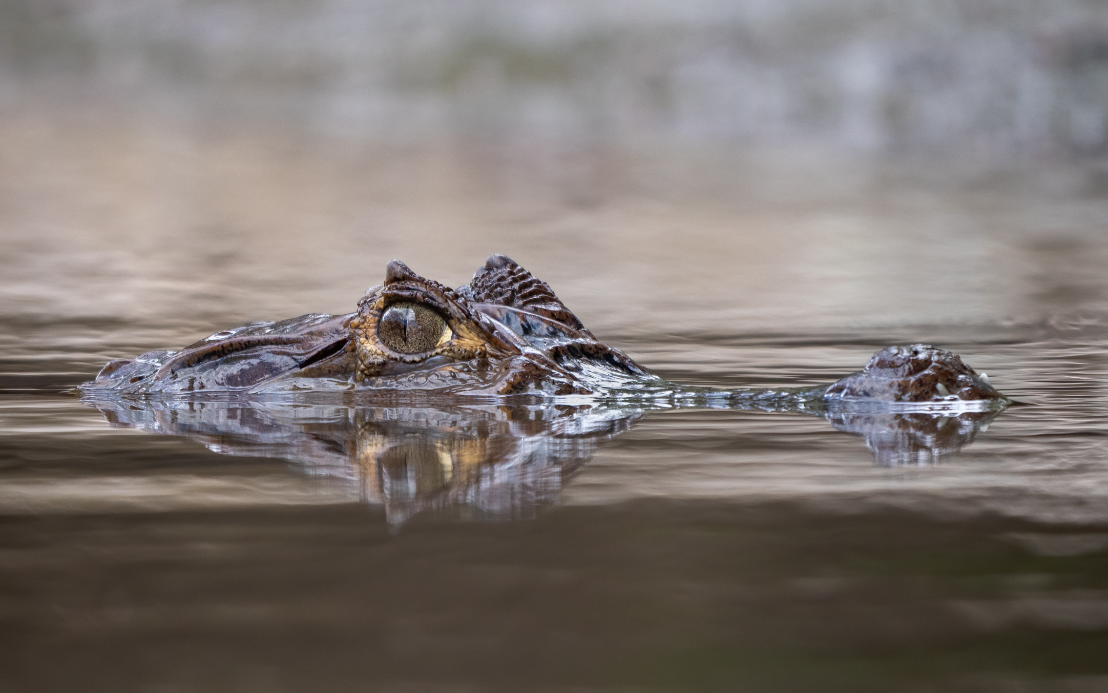 2021-03 - Costa Rica 027