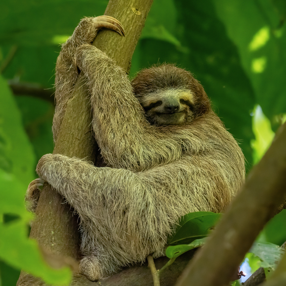 2021-03 - Costa Rica 036