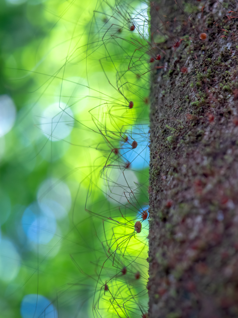 2021-03 - Costa Rica 049