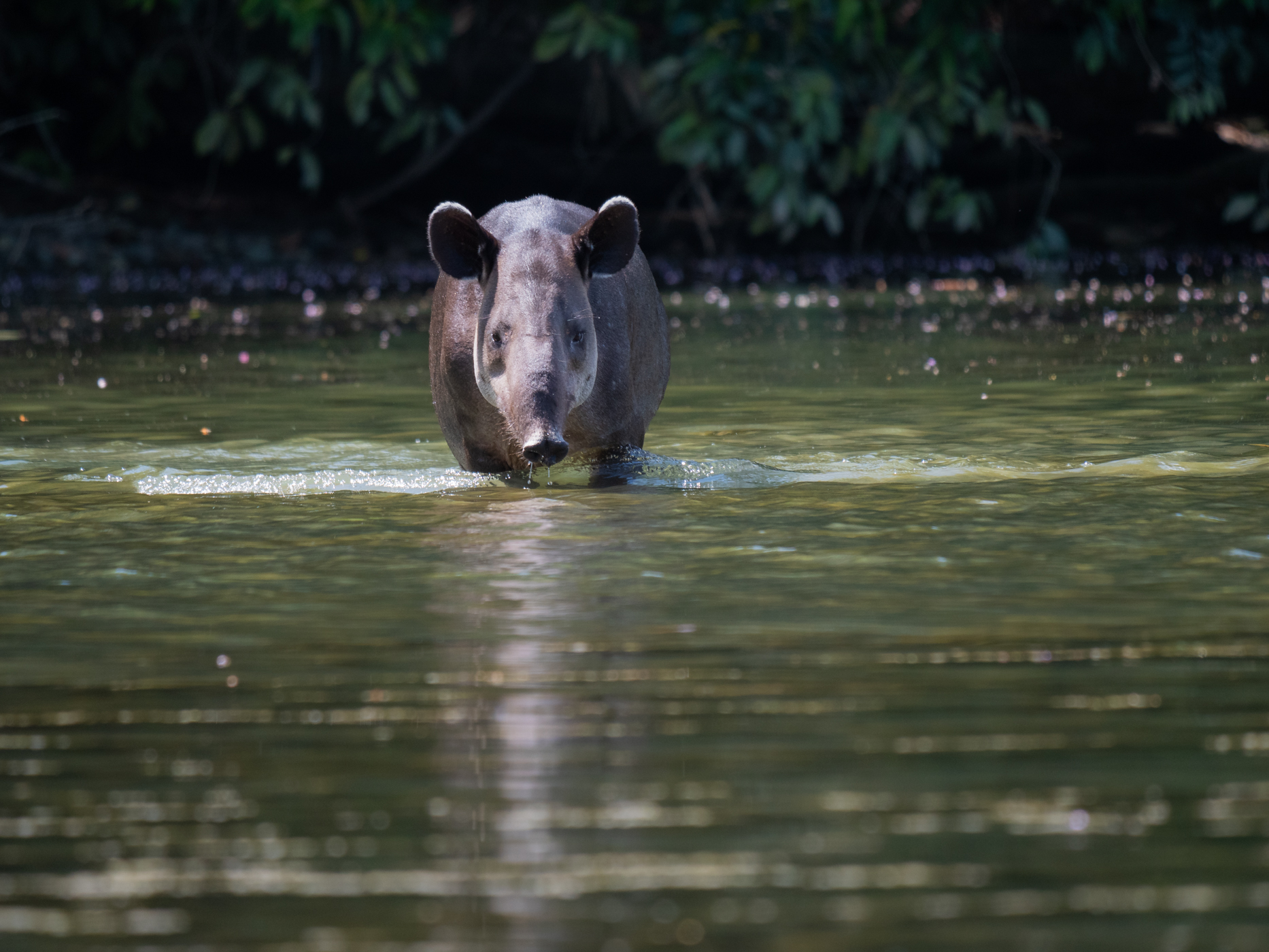 2021-03 - Costa Rica 052