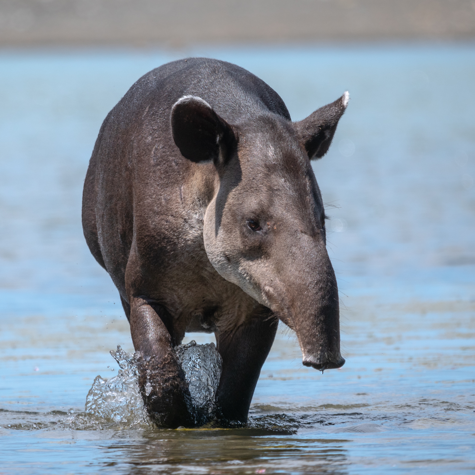 2021-03 - Costa Rica 053