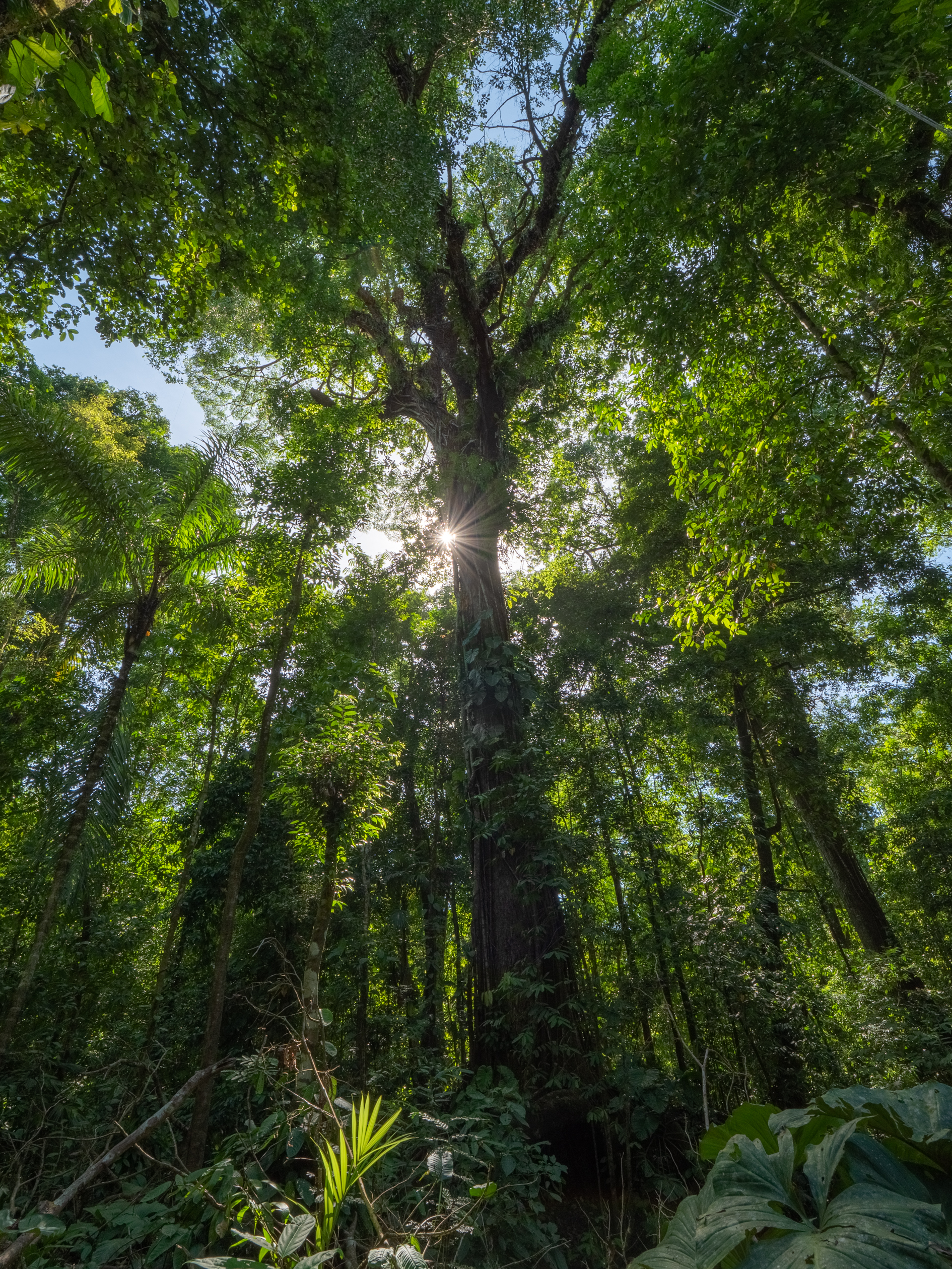 2021-03 - Costa Rica 062