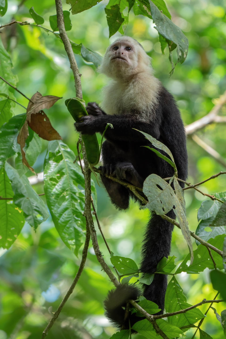 2021-03 - Costa Rica 076