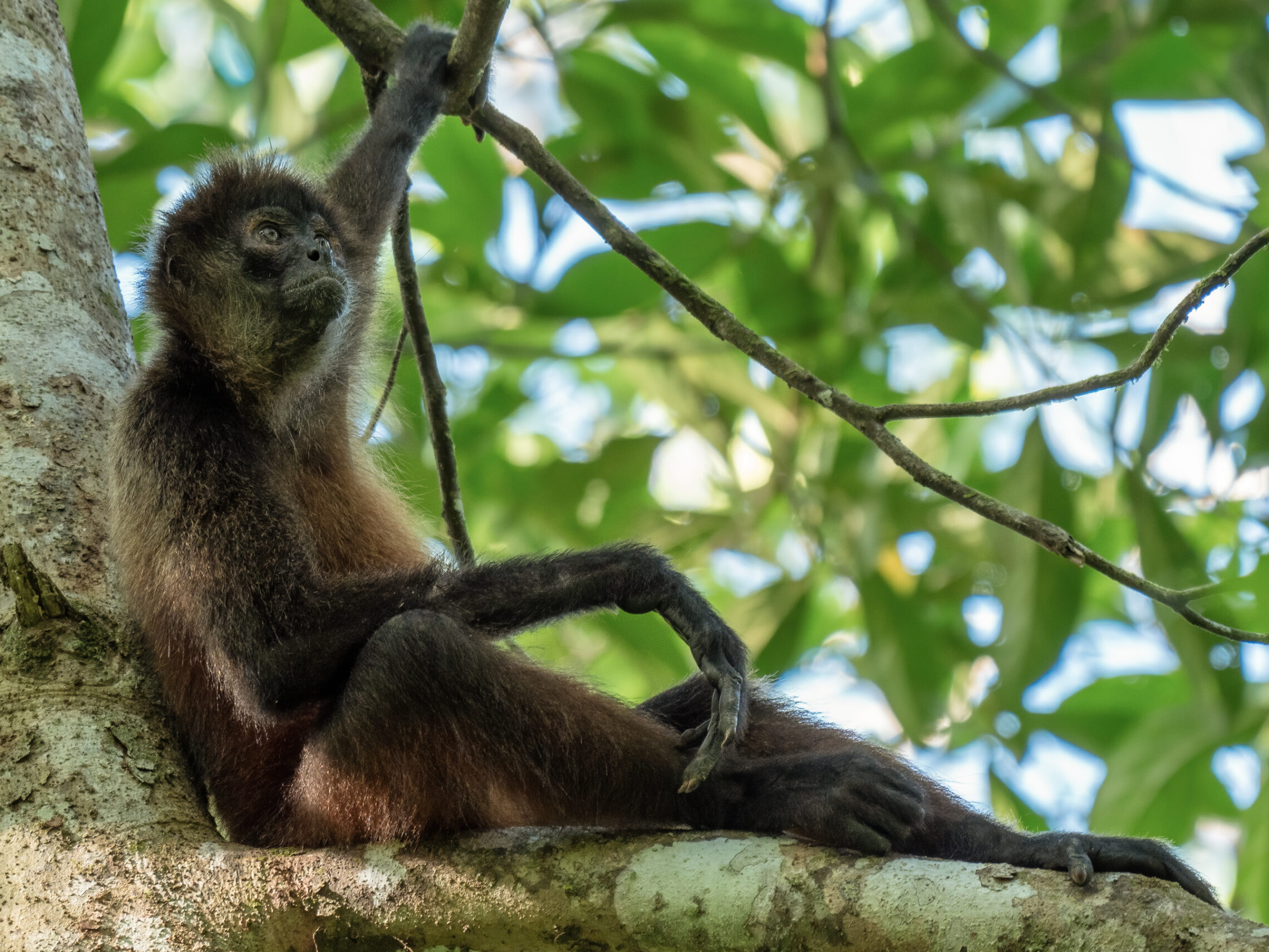 2021-03 - Costa Rica 087