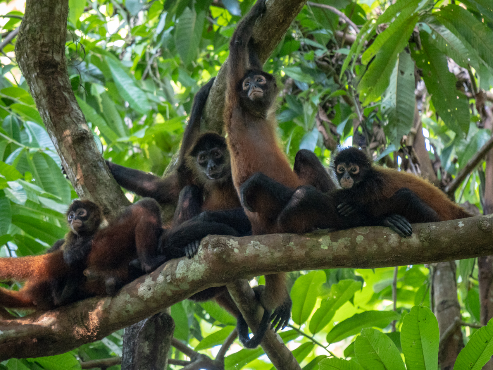 2021-03 - Costa Rica 089