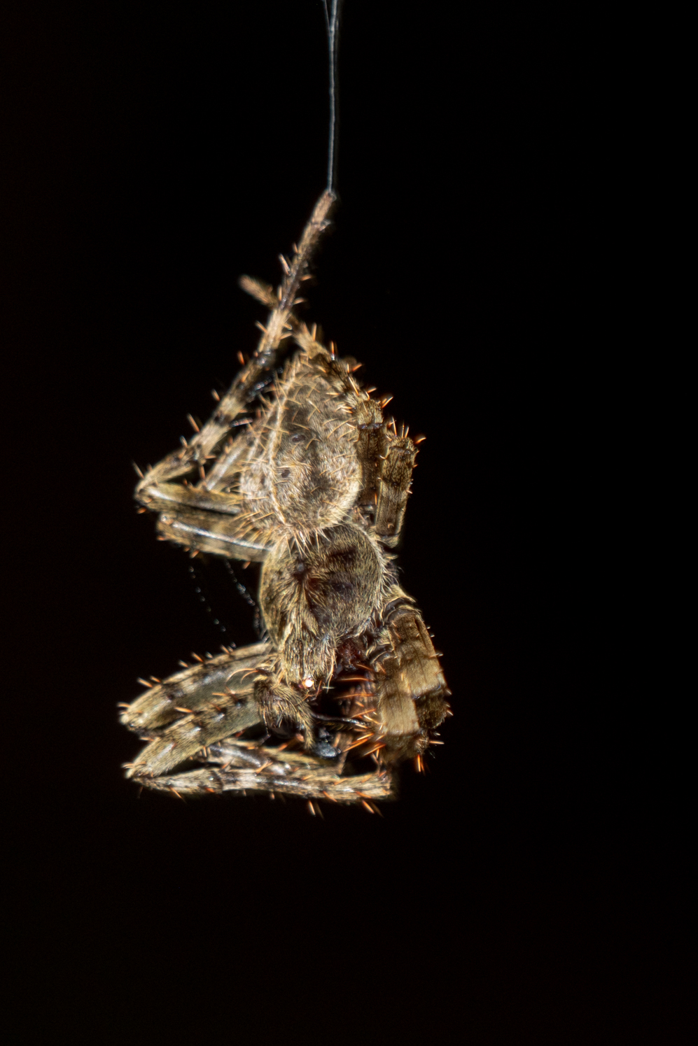 2021-03 - Costa Rica 116