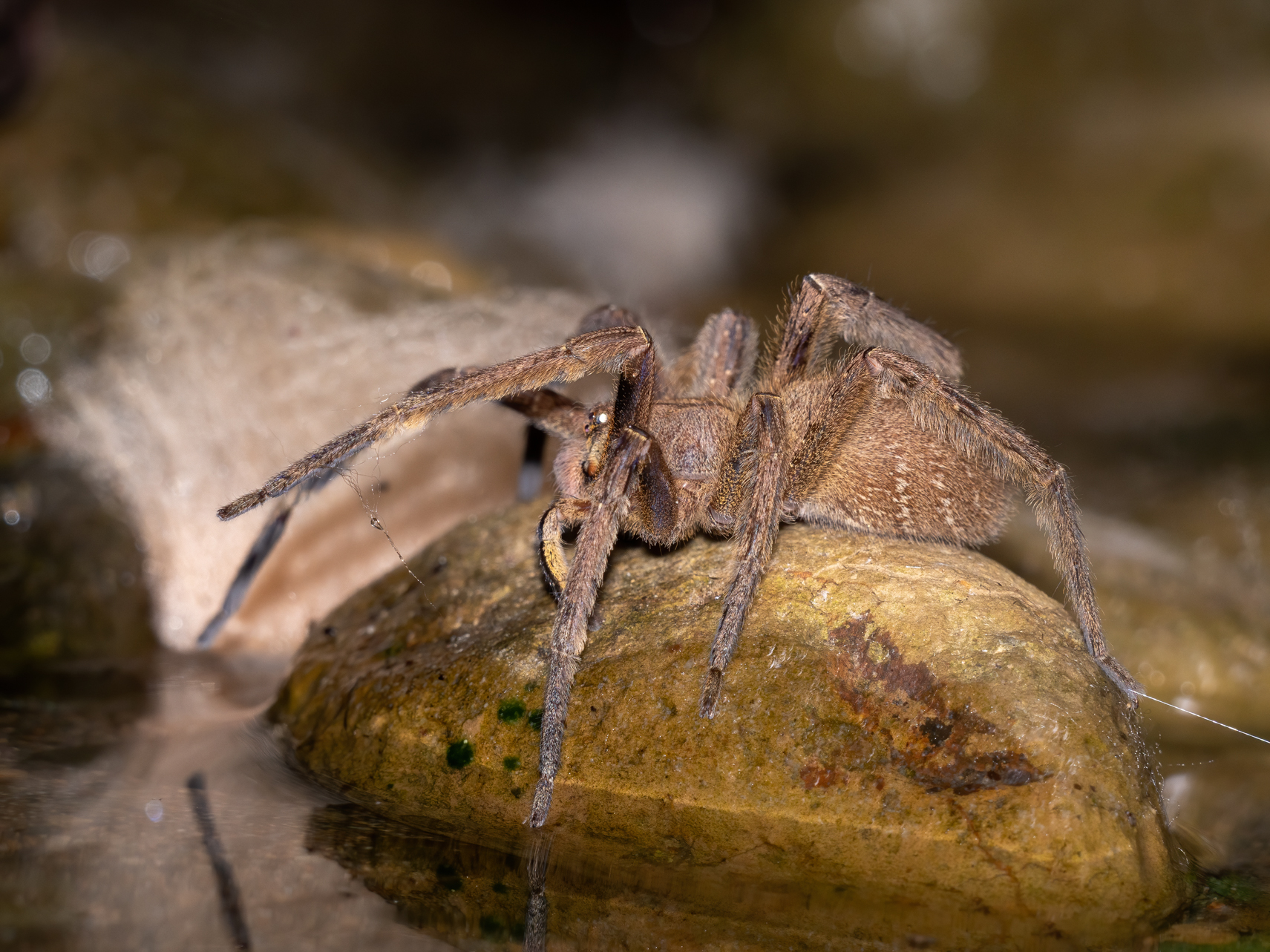 2021-03 - Costa Rica 119