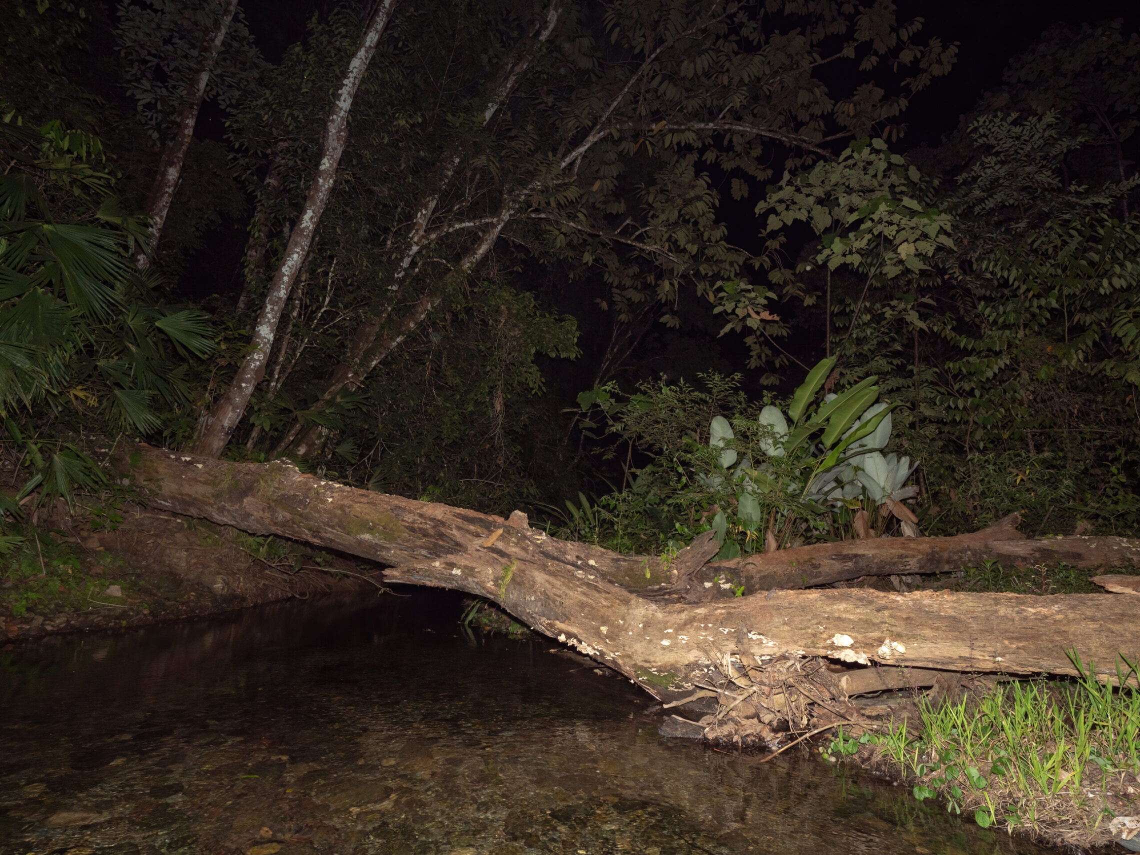 2021-03 - Costa Rica 125