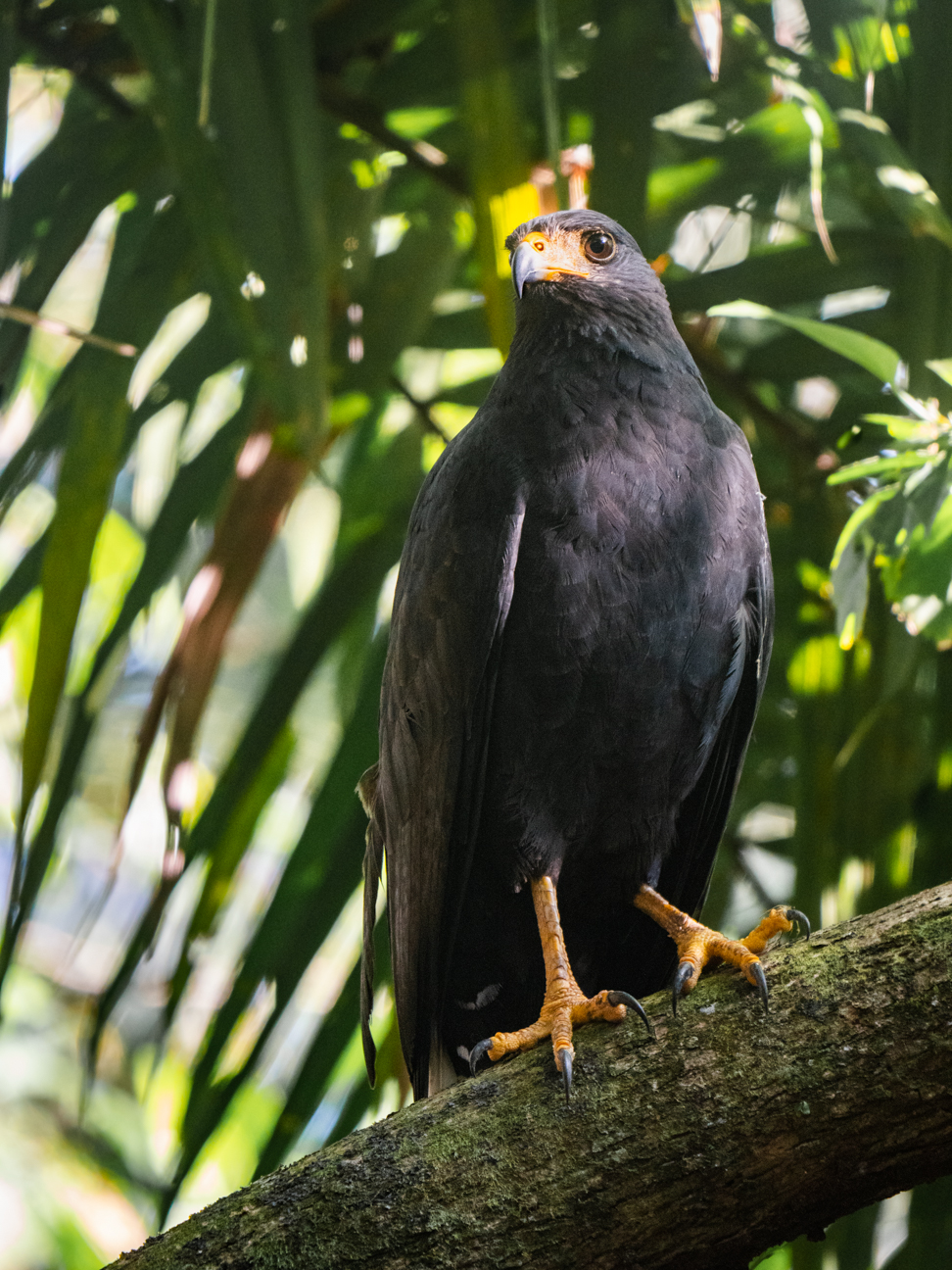 2021-03 - Costa Rica 134