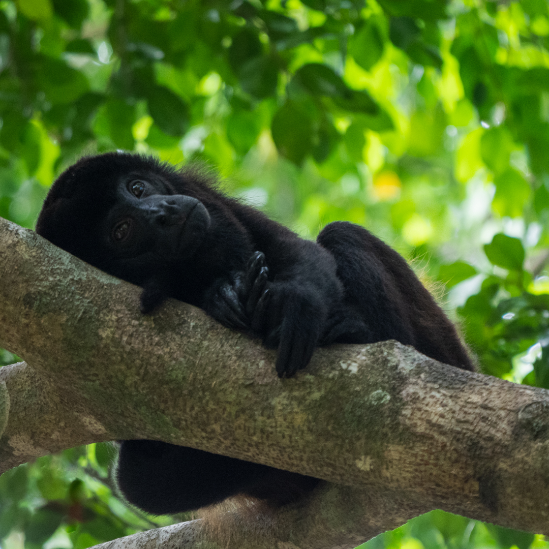 2021-03 - Costa Rica 140