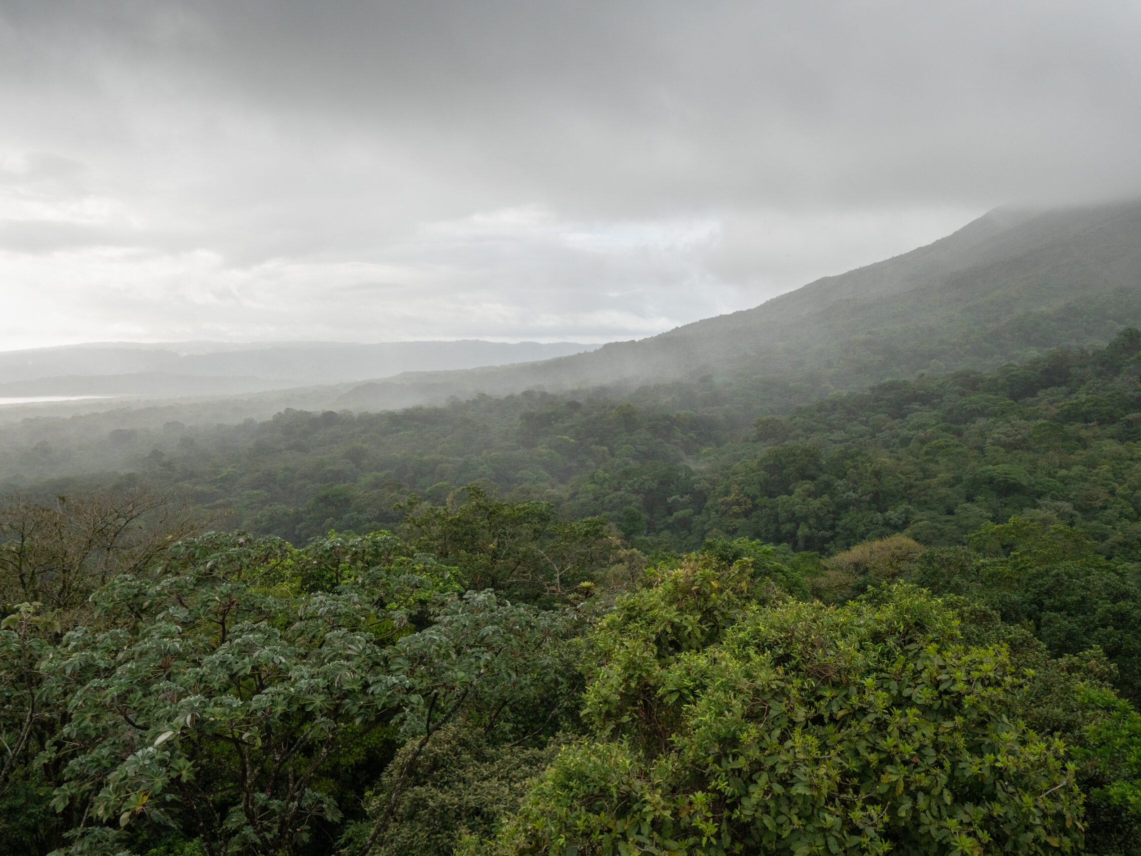 2021-03 - Costa Rica 183