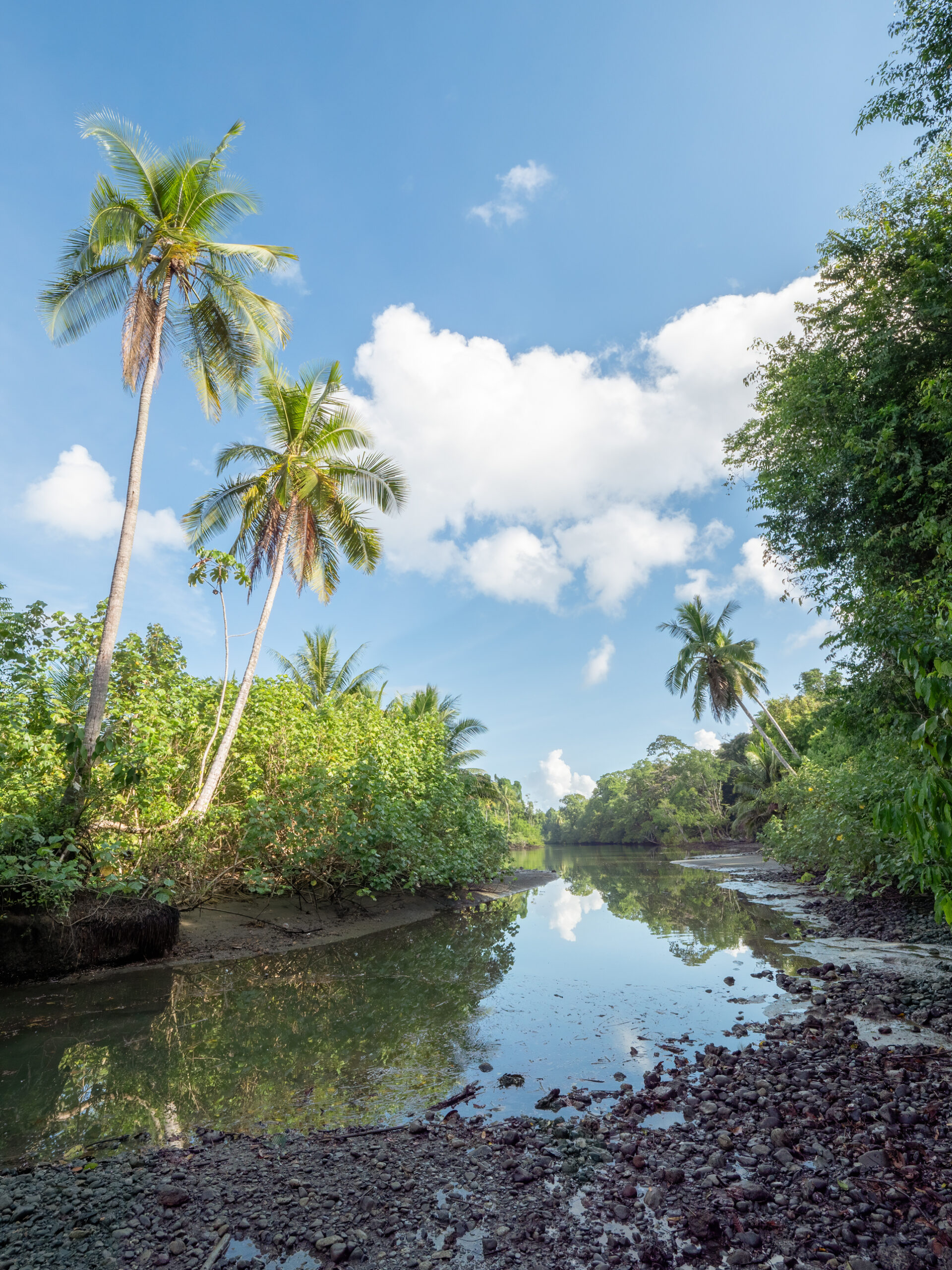 2021-03 - Costa Rica 206