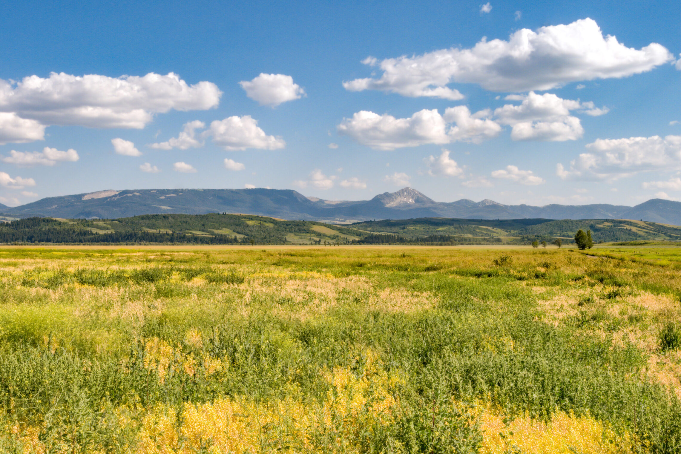 2020-07 - Grand Teton 002