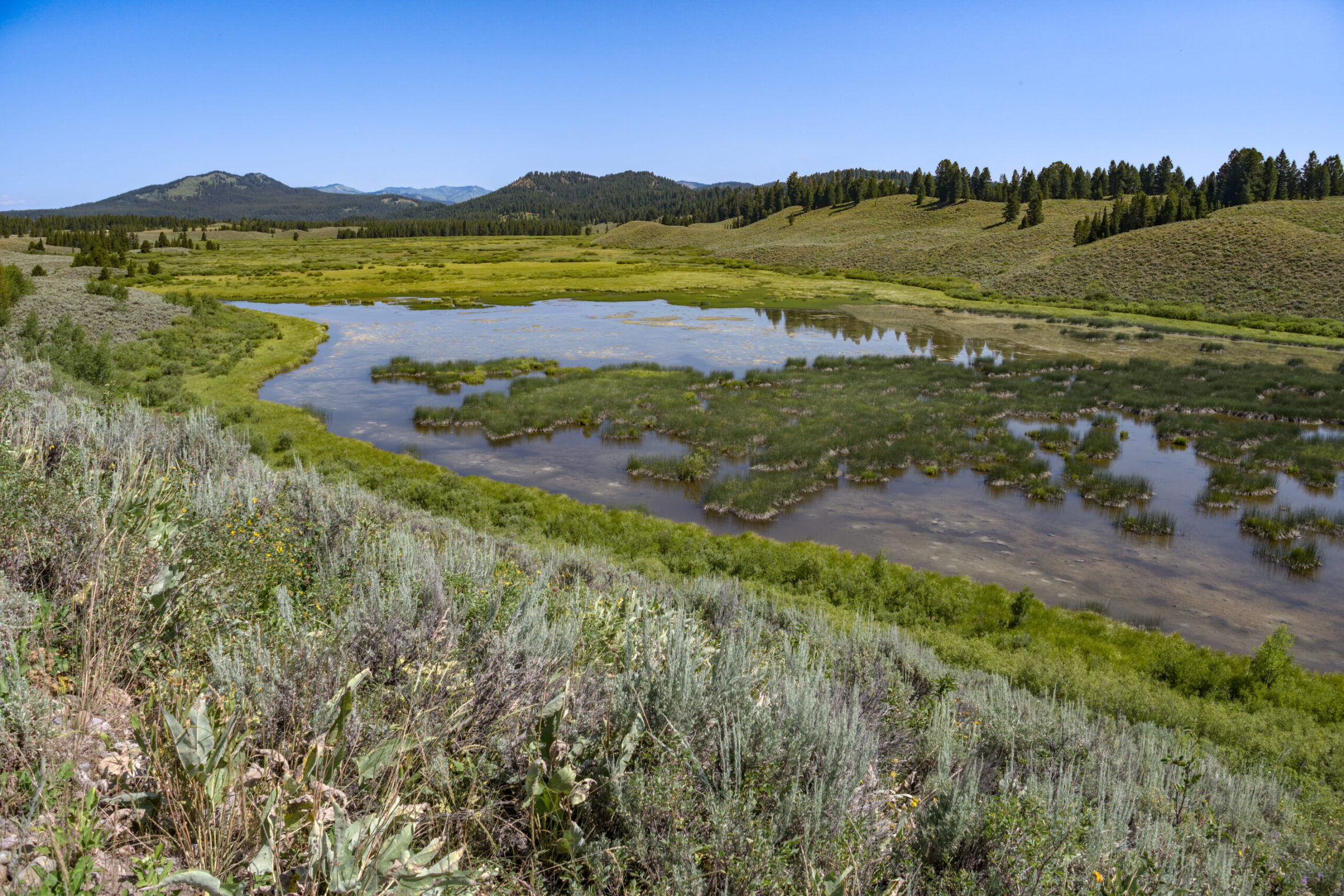2020-07 - Grand Teton 011
