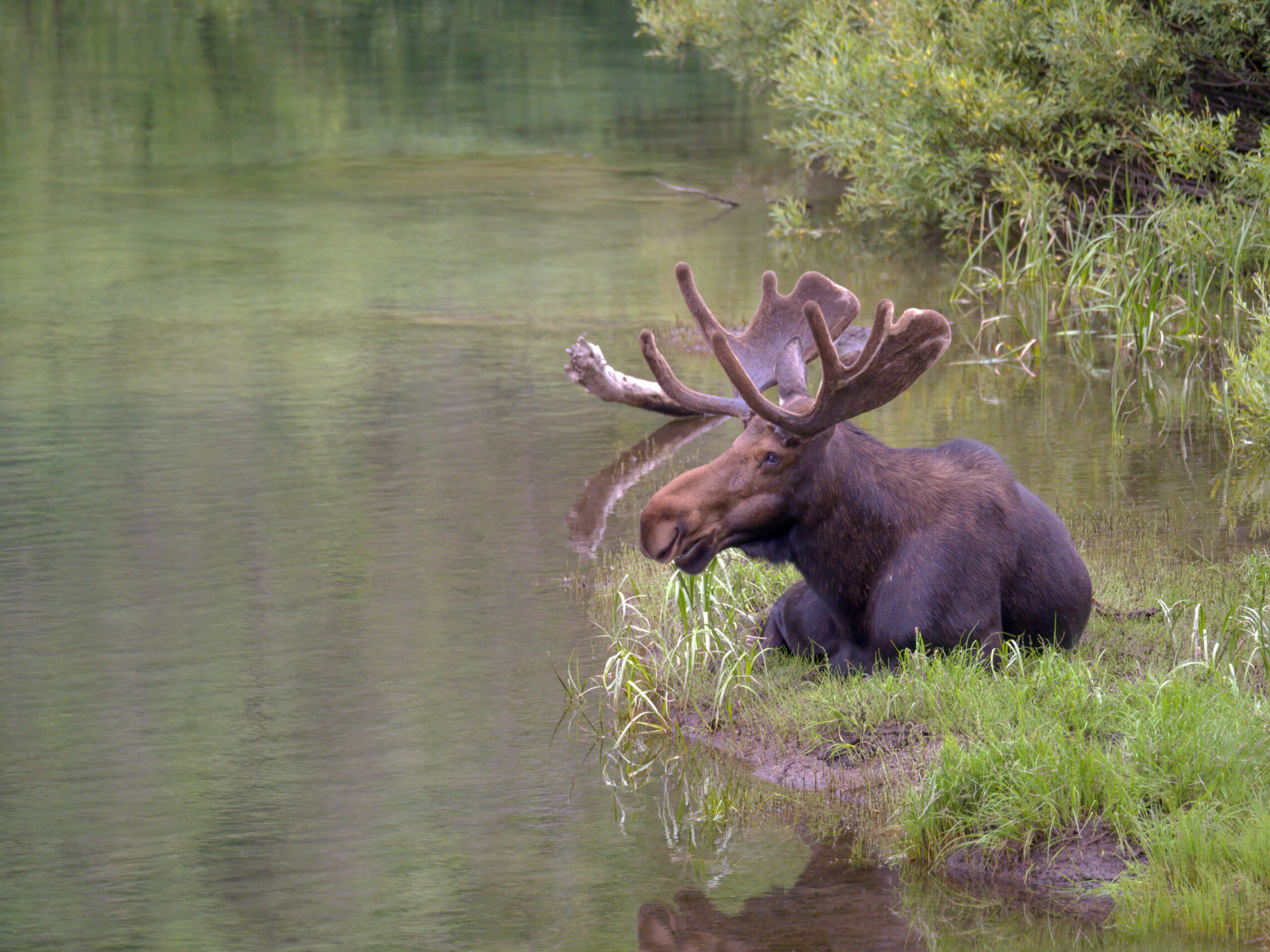 2020-07 - Grand Teton 017